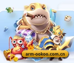 arm-ookoo.com.cn的故事 - 体育资讯内容服务