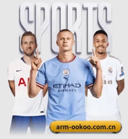 arm-ookoo.com.cn的故事 - 体育资讯内容服务